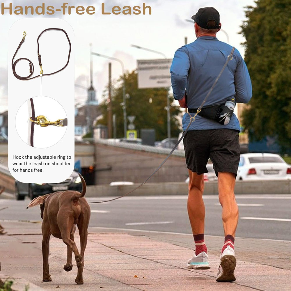 Multi Function Leather Dog Lea - Leather Strap Quick Release avis et prix